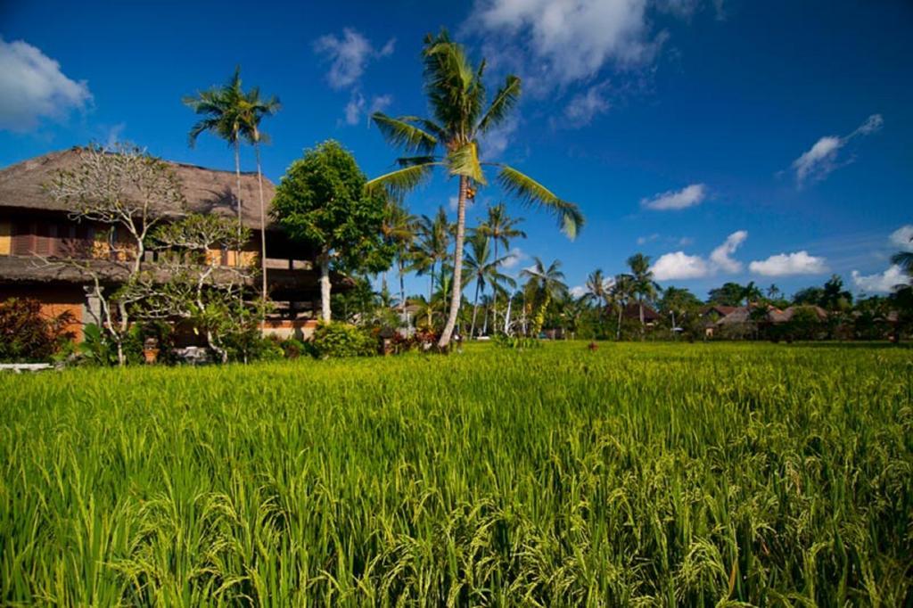 Agung Raka Villa Ubud Exterior foto